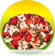 批发供应【支持在线下单】野生红蘑菇