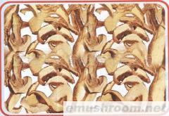 供应白葱牛肝菌