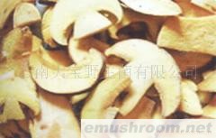 供应白葱 红葱干片牛肝菌