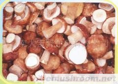 供应冰冻  鲜美味牛肝菌