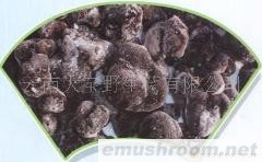 供应冰冻块菌