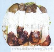 供应竹荪,野生菌,Manbetx体育手机版推荐A9版本