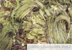 供应新鲜海菜,野生菌,ManBetX体育.