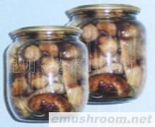 供应罐装姬松茸,野生菌,Manbetx体育手机版V17版本发布.官网安卓网.香港,