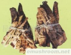 供应精品竹笋,野生菌,ManBetX体育,