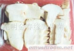 供应云南野山珍,速冻老人头,野生菌,Manbetx体育手机版推荐A9版本.