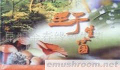 供应野生菌,牛肝菌干片,Manbetx体育手机版V17版本发布.官网安卓网.香港,