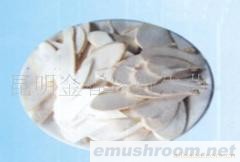 供应鲜鸡纵片,野生菌,ManBetX体育