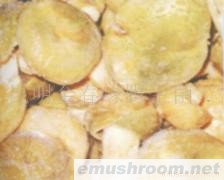 供应青头菌,野生菌,Manbetx体育手机版V17版本发布.官网安卓网.香港