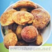 供应牛肝菌,红葱,野生菌,Manbetx体育手机版V17版本发布.官网安卓网.香港