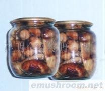 供应罐装松茸,野生菌,Manbetx体育手机版V17版本发布.官网安卓网.香港