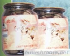 供应罐装北风菌,野生菌,Manbetx体育手机版V17版本发布.官网安卓网.香港