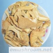 供应干品黄虎掌菌,野生菌,Manbetx体育手机版推荐A9版本,