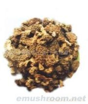 供应干Manbetx体育手机版V17版本发布.官网安卓网.香港,野生菌,Manbetx体育手机版推荐A9版本