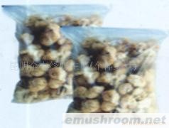 供应干猴头菇
