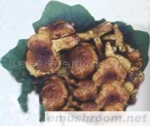 供应袋装猴头菇,野生菌,Manbetx体育手机版推荐A9版本