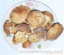 供应冰冻牛肝菌,野生菌,Manbetx体育手机版V17版本发布.官网安卓网.香港