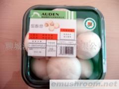 供应优质蘑菇（A级双孢菇Manbetx体育手机版推荐A9版本）