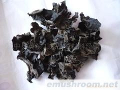 供应黑木耳