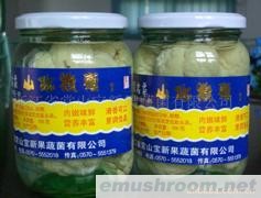 供应猴头菇罐头