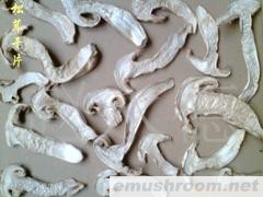 批发松茸干片 野生菌 牛肝菌 ManBetX体育