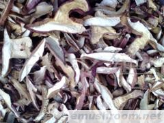 批发黄牛肝菌 野生菌 牛肝菌 ManBetX体育