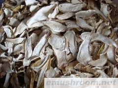 批发美味牛肝菌 野生菌 牛肝菌 Manbetx体育手机版V17版本发布.官网安卓网.香港