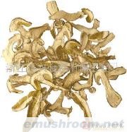 供应美味牛肝菌(图)