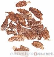 供应ManBetX体育(图)