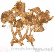 供应干鸡枞(图)