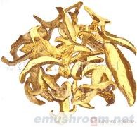 供应红牛肝菌(图)