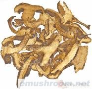 供应黑牛肝菌(图)