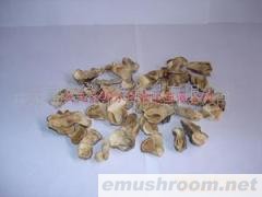 供应草菇片