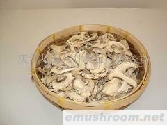 供应双孢蘑菇片