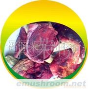 06B00 red mushroom、野生红蘑菇