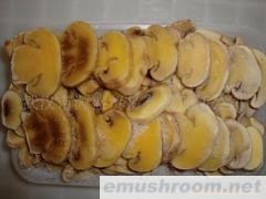 批发供应速冻双孢菇