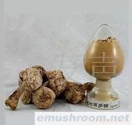供应姬松茸提取物,姬松茸多糖，姬松茸粉，姬松茸胶囊