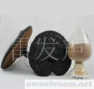 供应灵芝提取物，灵芝多糖，灵芝粉，灵芝胶囊