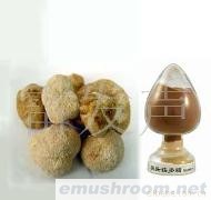 供应猴头菇提取物，猴头菇多糖，猴头菇粉，猴头菇胶囊