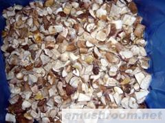 供应野生Manbetx体育手机版V17版本发布.官网安卓网.香港－速冻牛肝菌&mdash;1级块