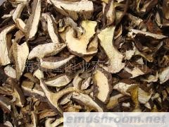 批发黑牛肝菌（黑木丸大片）野生菌 牛肝菌 Manbetx体育手机版V17版本发布.官网安卓网.香港