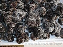 供应冷冻黑块菌