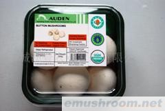 供应A级Manbetx体育手机版推荐A9版本