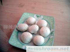供应双孢蘑菇