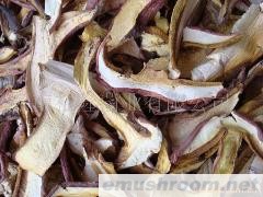 批发黄牛肝菌（红葱干片）野生菌 牛肝菌 ManBetX体育