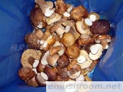 供应速冻牛肝菌&mdash;大菇