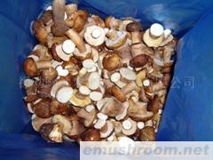 供应速冻牛肝菌&mdash;中菇