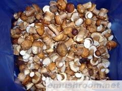 供应速冻牛肝菌&mdash;小菇