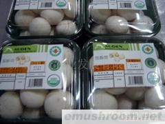 供应优质蘑菇（A级双孢菇Manbetx体育手机版V17版本发布.官网安卓网.香港）