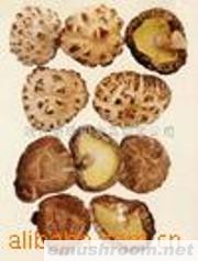 提供各种Manbetx体育手机版V17版本发布.官网安卓网.香港加工(图)